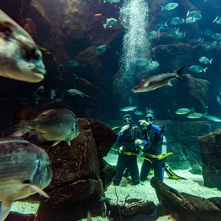 Aqua Natura Madeira 4* 포르투모니즈