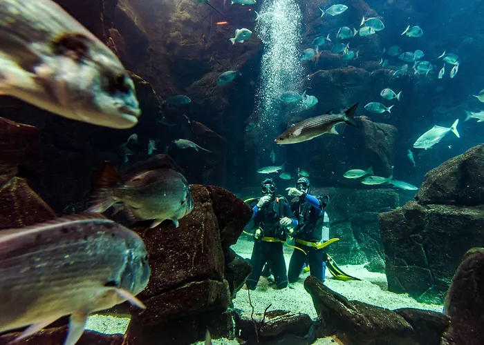 Aqua Natura Madeira 4* Porto Moniz